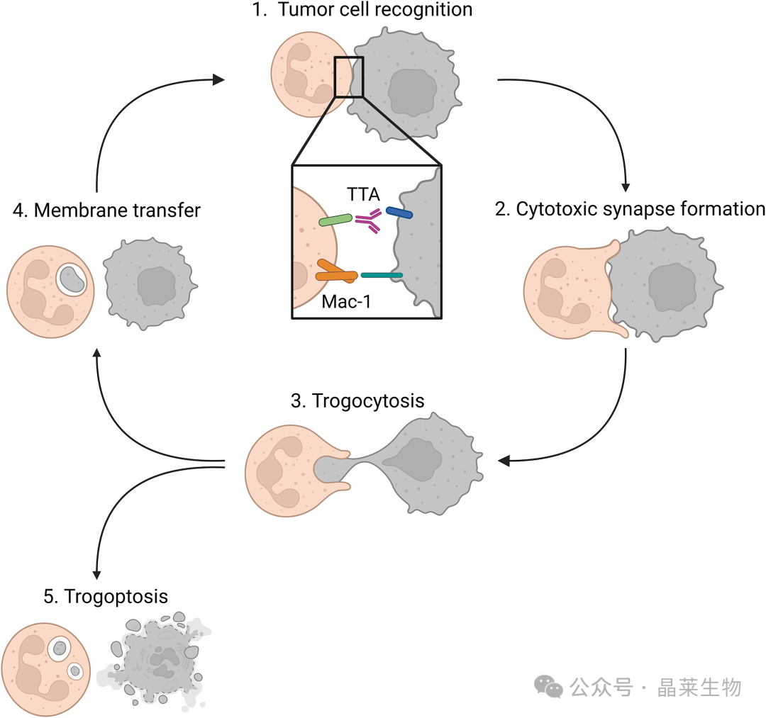 1728374046633141.png 640_wx_fmt=png&from=appmsg.png