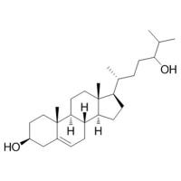 24-Hydroxycholesterol