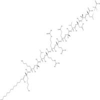 Autocamtide-2-related inhibitory peptide