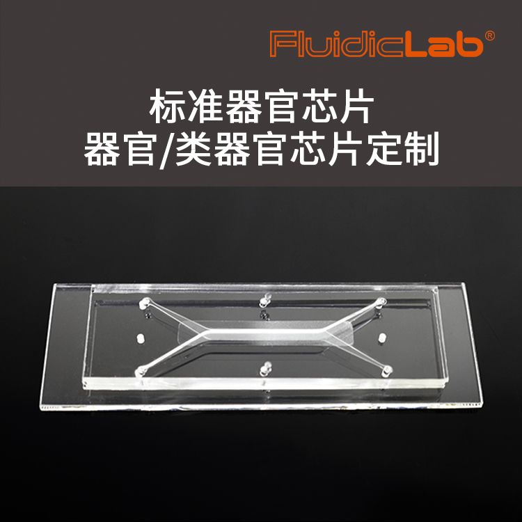 标准器官芯片/器官类器官芯片定制服务