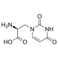 (S)-Willardiine ((-)-Willardiine)