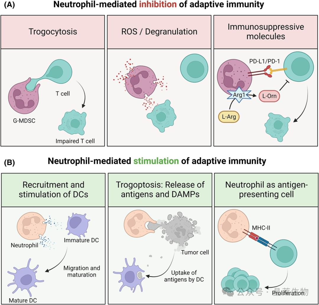 1728374052942720.png 640_wx_fmt=png&from=appmsg (1).png