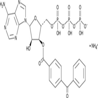 BzATP (ammonium salt)