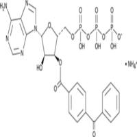 BzATP (ammonium salt)