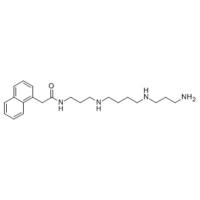 Naspm (1-Naphthylacetyl spermine)