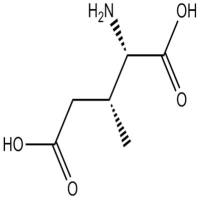 (±)-threo-3-Methylglutamic acid