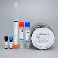 百日咳鲍特菌增菌培养检测试剂盒(带拭子)