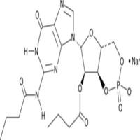 Dibutyryl-Cyclic GMP (sodium salt)