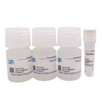 LabFect Lipofect5000 transfection reagent