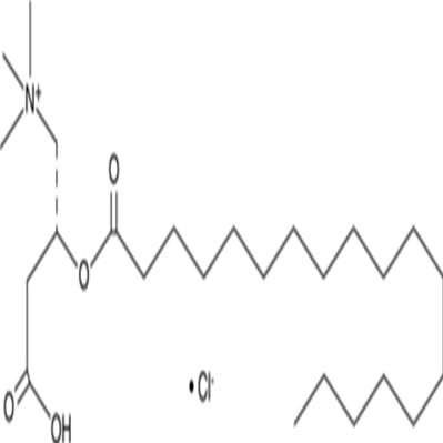 Stearoyl-L-carnitine (chloride)