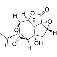 Picrotoxinin
