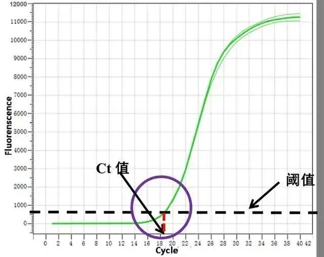 实时荧光定量qPCR反应中Ct值全面剖析