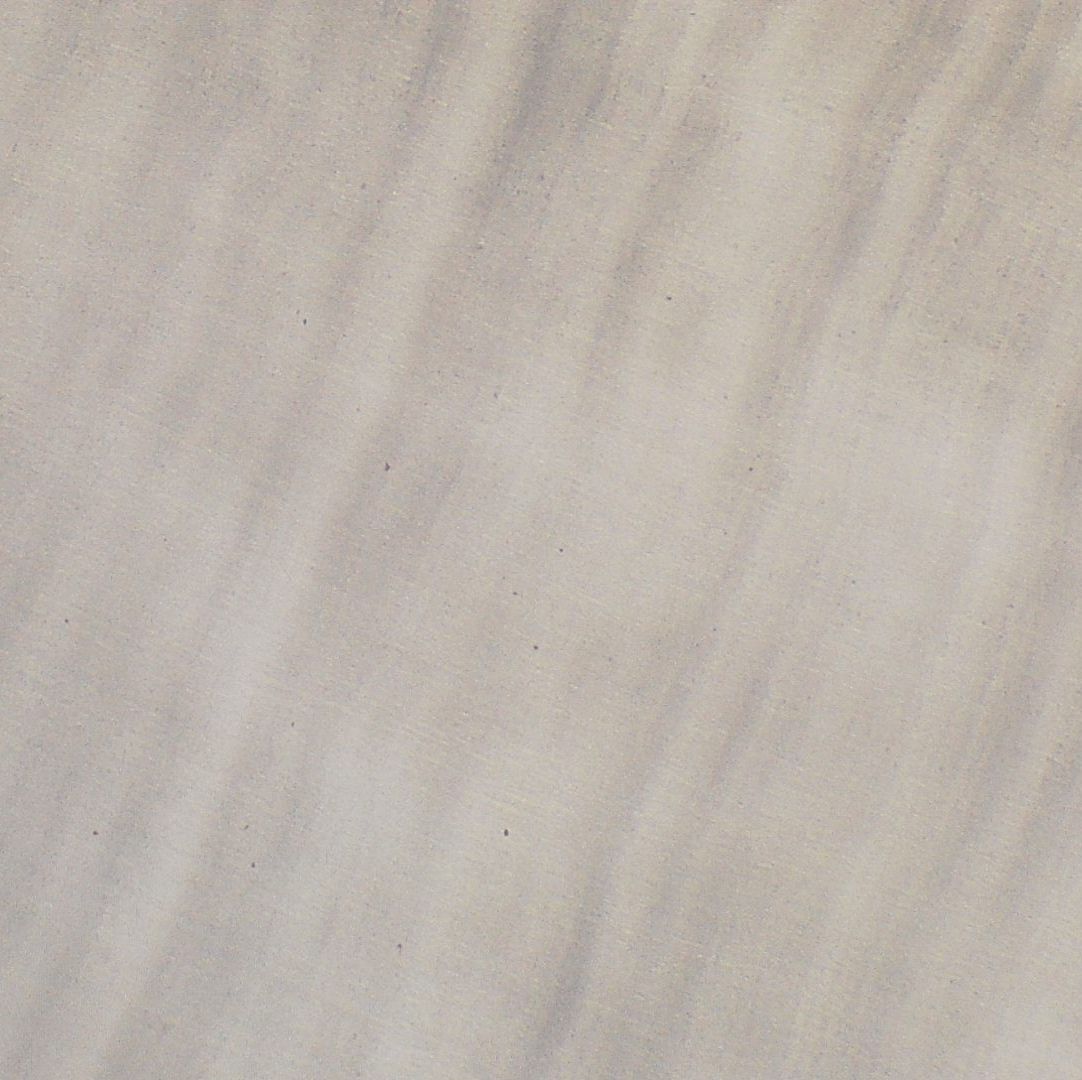 破骨细胞功能检测专用牙质片