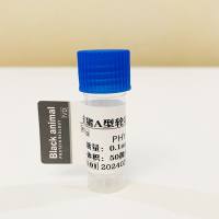 抗猪A型轮状病毒单克隆抗体；猪A型轮状病毒抗体；猪轮状病毒抗体；猪轮状抗体