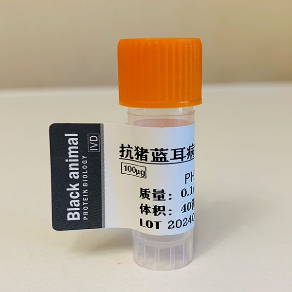 100μg500μg猪蓝耳病毒单抗(2G10株);抗猪蓝耳病毒N蛋白抗体;猪蓝耳病毒抗体;PRRSV-N抗体;猪蓝耳抗体