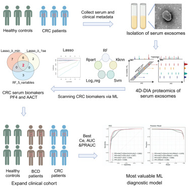 外泌体提取鉴定