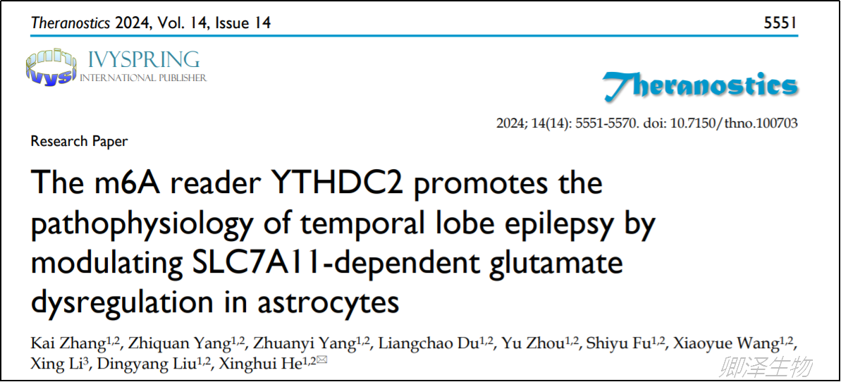 客户文章 | 湘雅医院神经外科团队发现治疗癫痫的新靶点