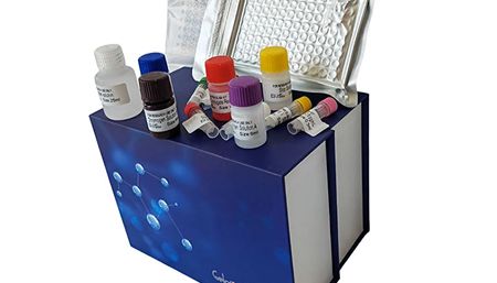 江西江蓝纯生物生化试剂盒全场满就送优惠好价享不停