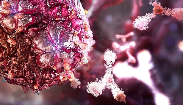 用于肠道病毒 D68 研究的重组单抗