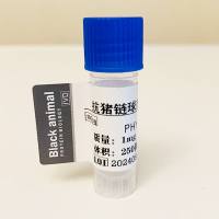 500μg 抗猪链球菌SAO单克隆抗体；抗猪链球菌2型抗体；猪链球菌抗体；猪SAO抗体