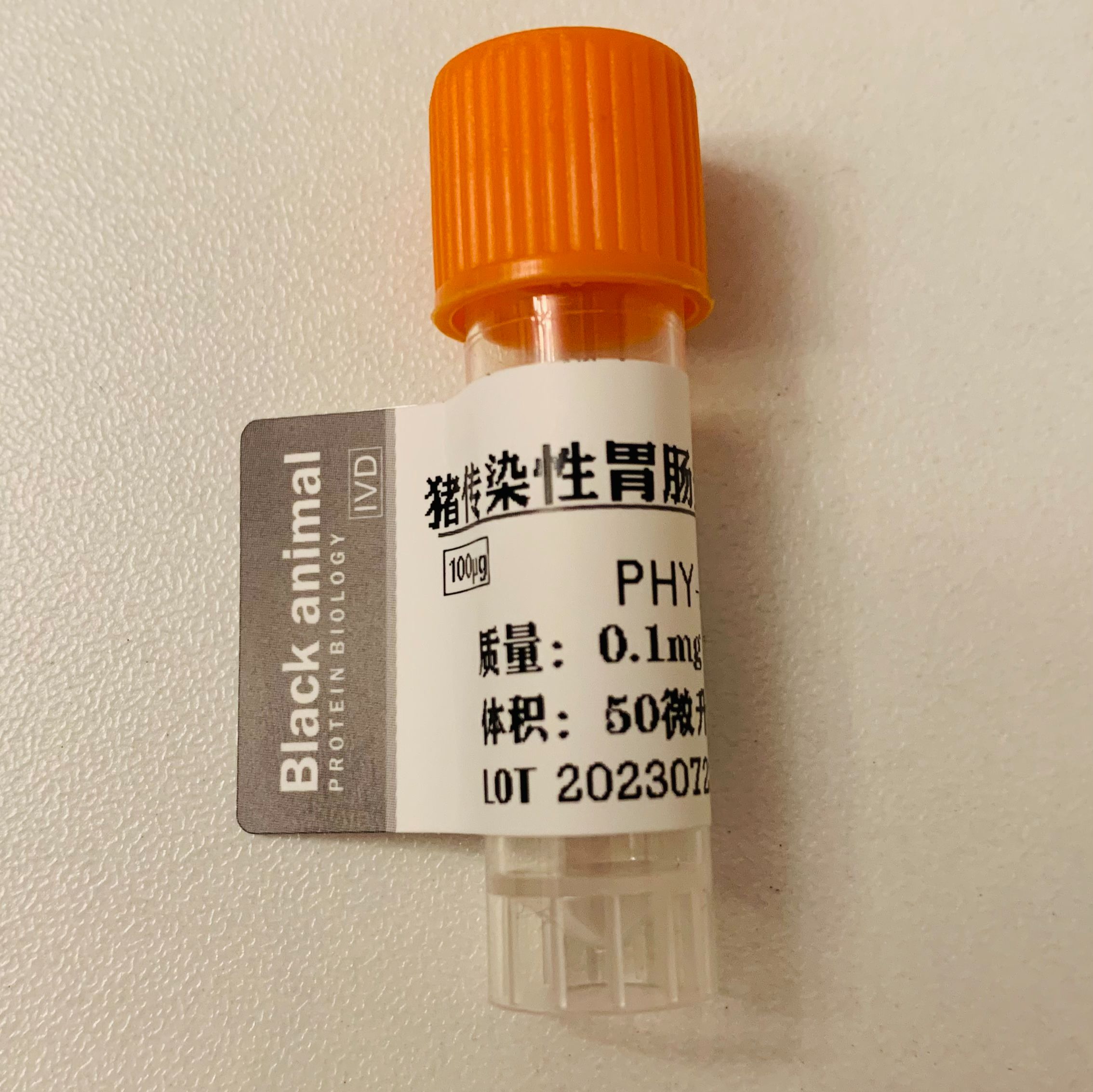 猪传染性胃肠炎病毒N原核蛋白,TGEV原核蛋白,TGEV抗原
