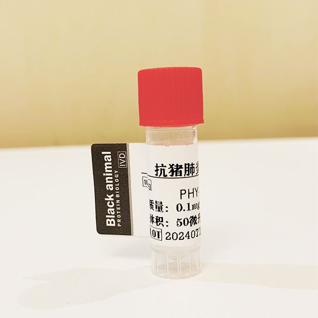 抗猪肺炎支原体单克隆抗体，猪肺炎支原体，猪肺炎抗体