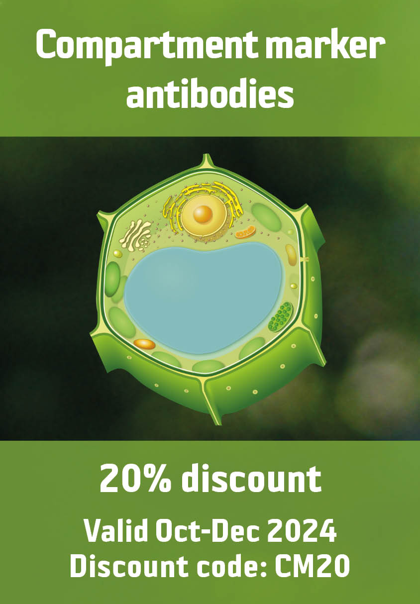 20% discount on all Compartment marker antibodies - 抗体 - 丁香通