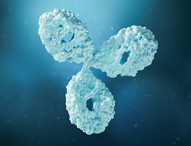 &nbsp;抗体分类在生物学的广阔领域