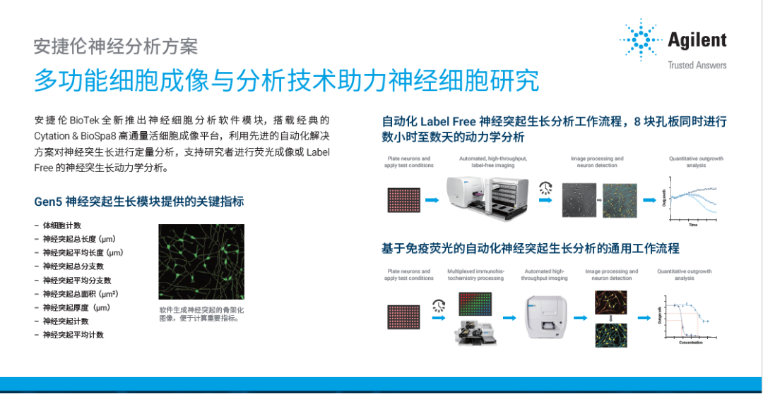 New!安捷伦BioTek 成像系统软件升级：助您深入了解神经元细胞模型