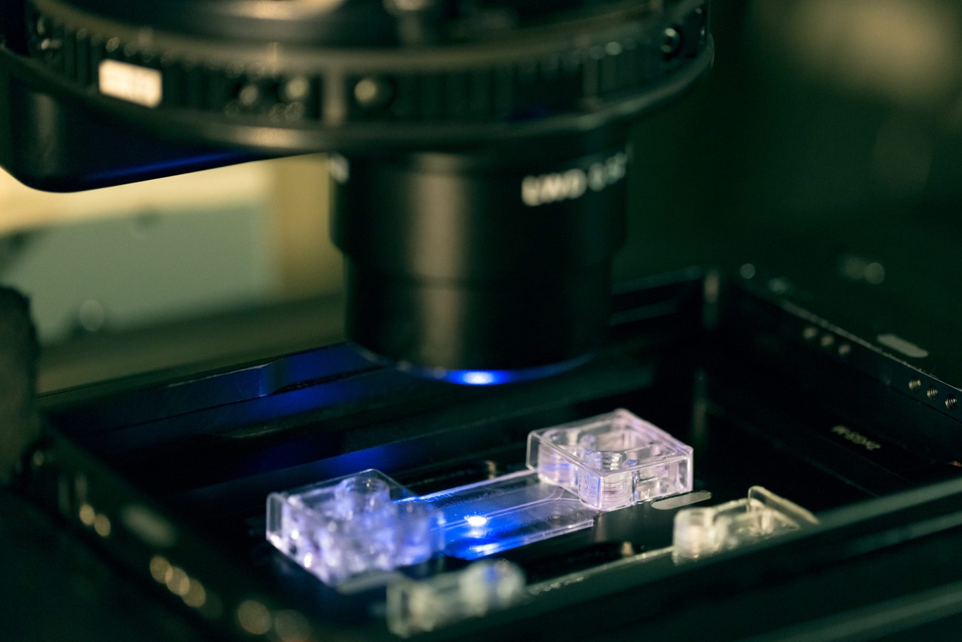 Beonchip光学特性 Beonchip光学特性