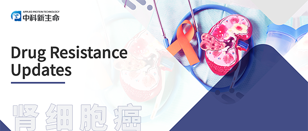 项目文章Drug Resist Update | 南方医院谭万龙团队揭示RIPK1的O糖基化调控肾癌舒尼替尼耐药性机制