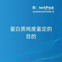 蛋白质纯度鉴定的目的