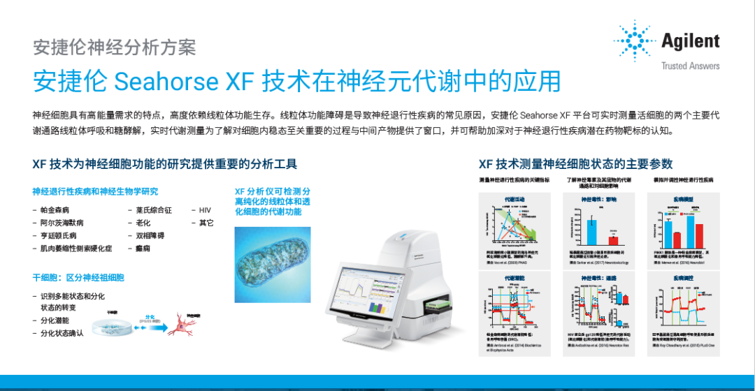 New!安捷伦BioTek 成像系统软件升级：助您深入了解神经元细胞模型