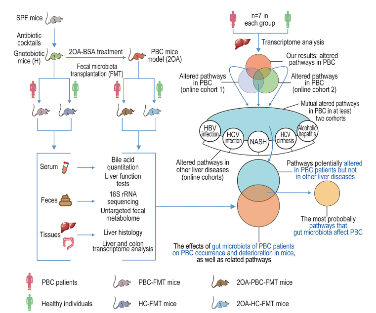 生物信息学分析