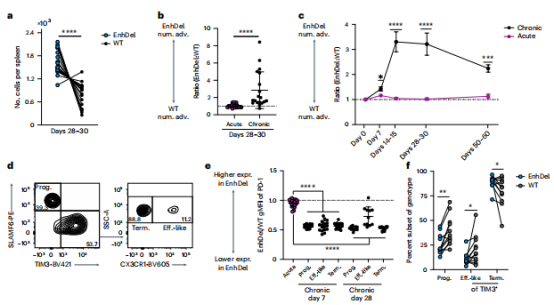 PD-1 表观遗传调控改善T细胞耗竭的新发现