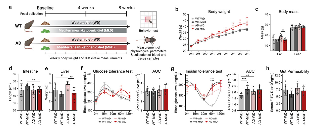 生物信息学分析 生物信息学分析