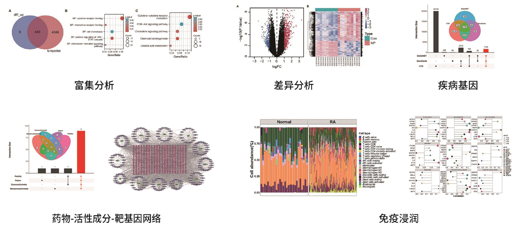 生物信息学分析#生信分析#生信数据分析#基础医学研究指导#实