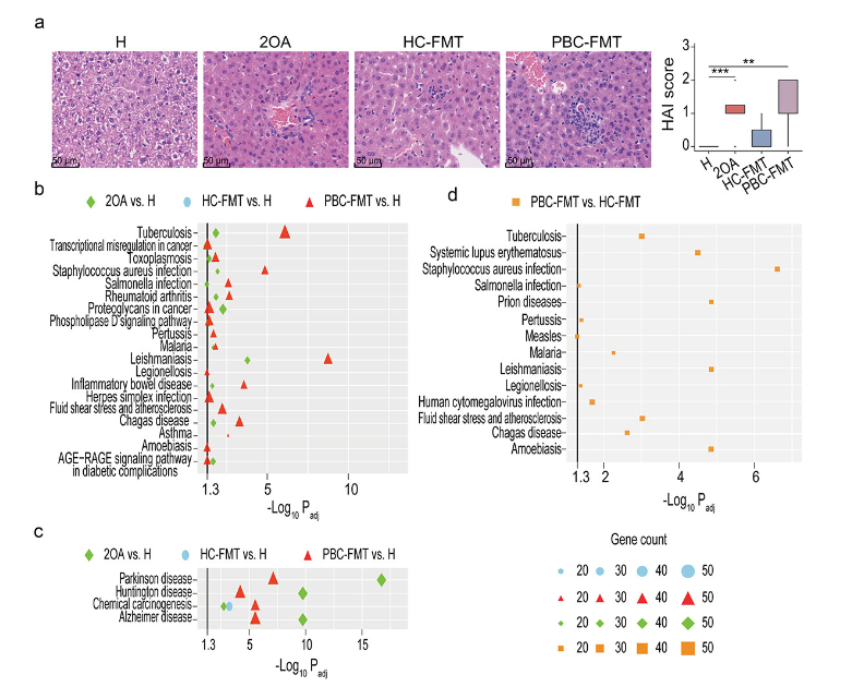 生物信息学分析
