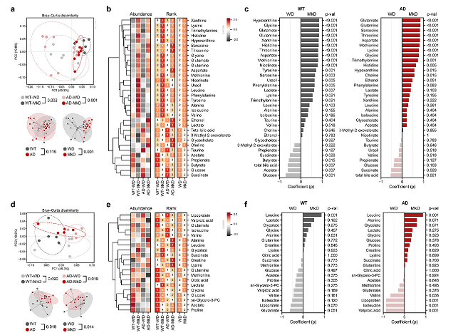 生物信息学分析 生物信息学分析