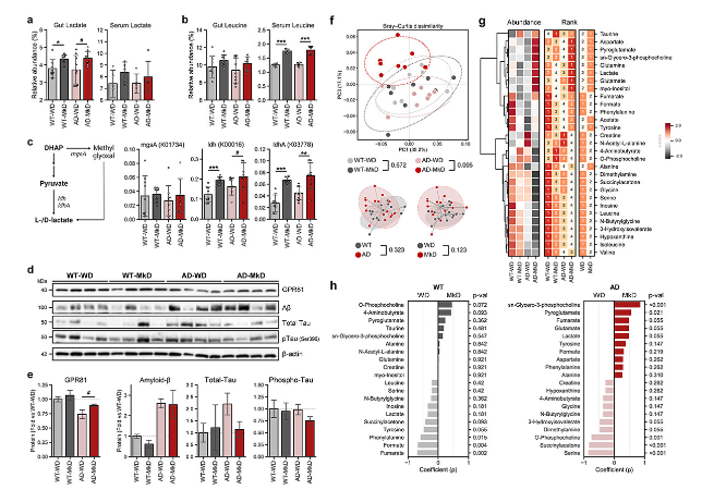 生物信息学分析 生物信息学分析