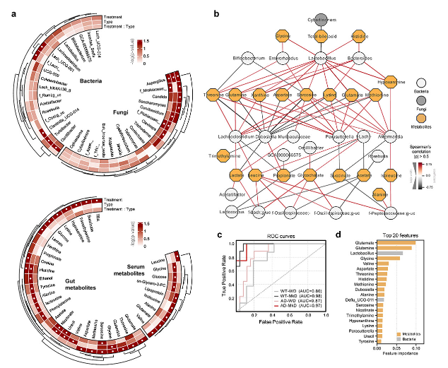 生物信息学分析 生物信息学分析