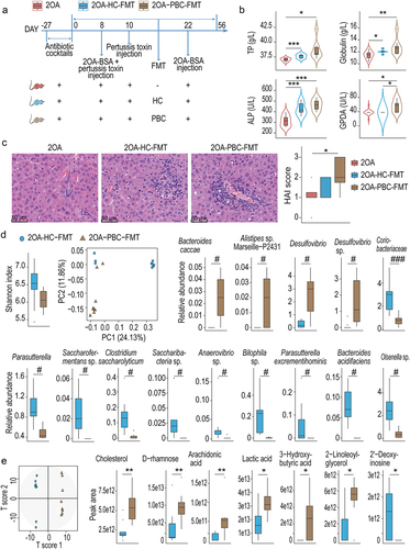 生物信息学分析