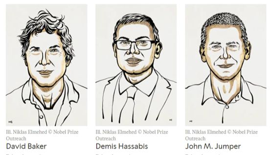 2024诺贝尔化学奖颁给“AI蛋白质设计和结构预测”