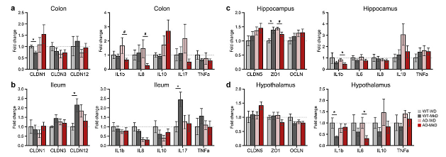 生物信息学分析 生物信息学分析