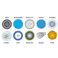 负载siE2F1的α，β-聚（N-２-羟乙基）-D，L-天冬氨酰胺新型阳离子聚合物定制