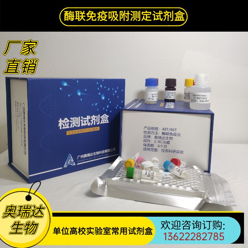 大鼠Ⅲ型前胶原肽（PⅢNP）ELISA检测试剂盒