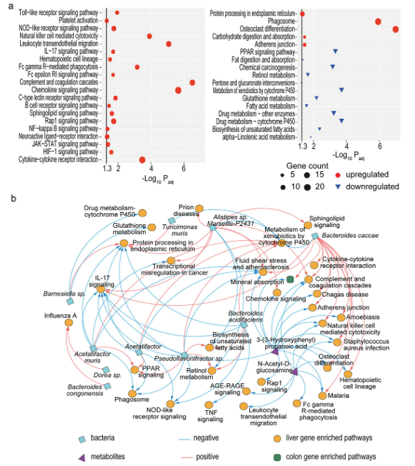 生物信息学分析