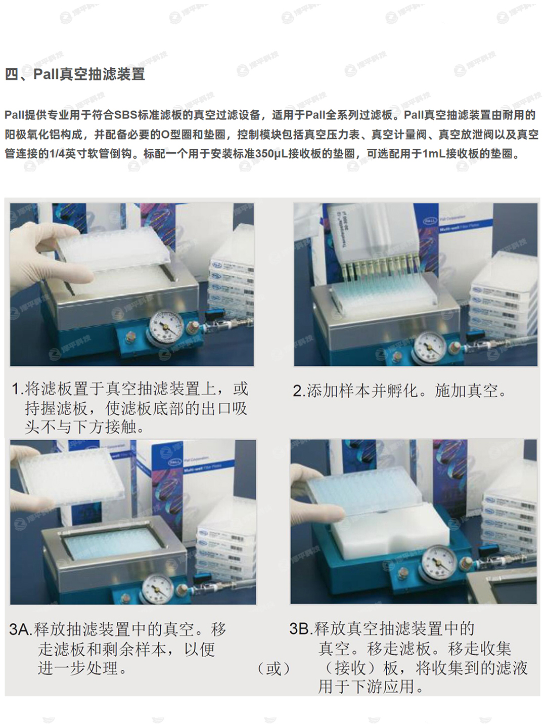 96孔筛板 96过滤孔板 96孔板超滤 96孔板滤膜 96孔