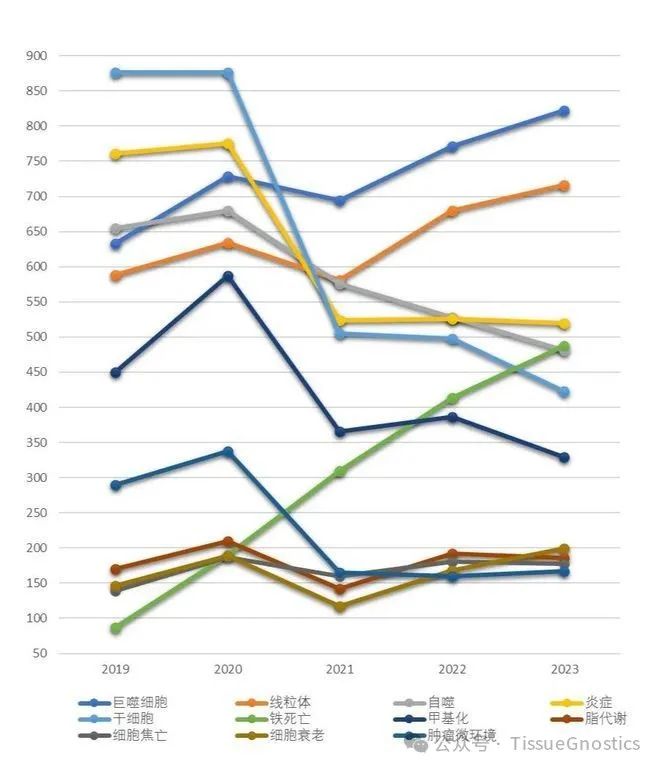 国自然热点 | Tissue Cytometry助力巨噬细胞研究