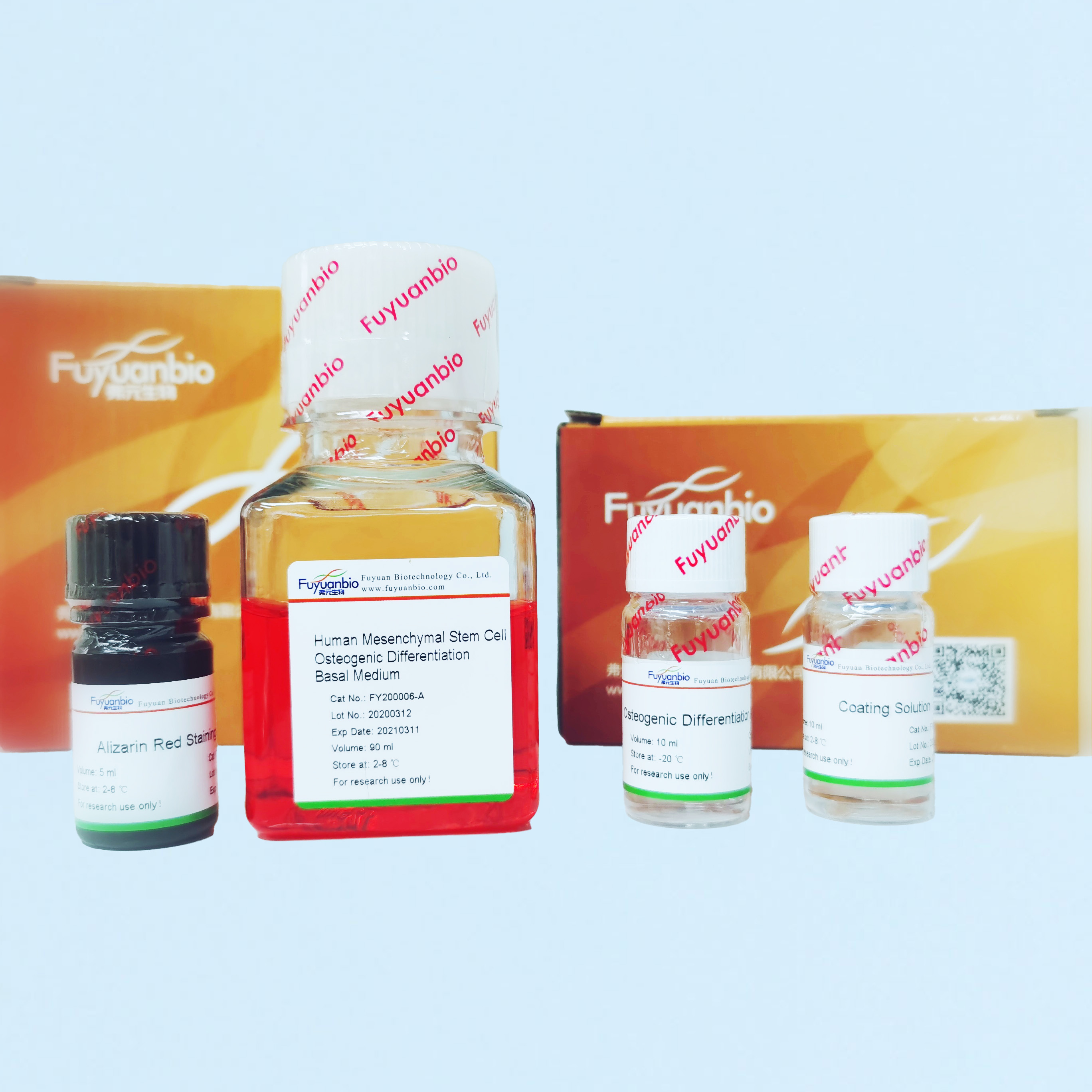间充质干细胞诱导分化鉴定－要自己配培养基吗